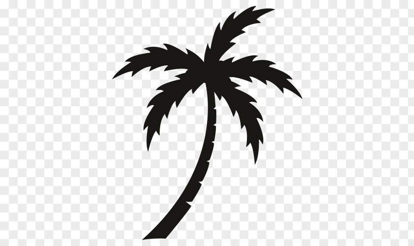 PALM TREE BLACK Arecaceae Sticker Wall Decal Vinyl Group PNG