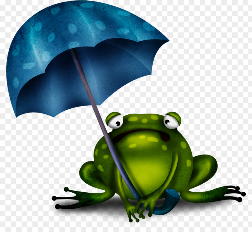 Rainy Season Cartoon Frog Edible Amphibians PNG