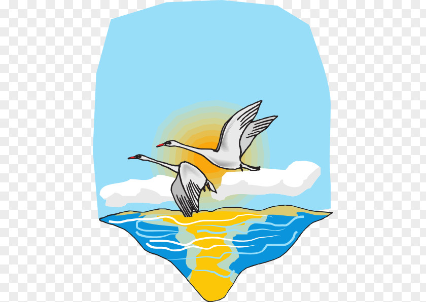 Sea Cliparts Bird Clip Art PNG