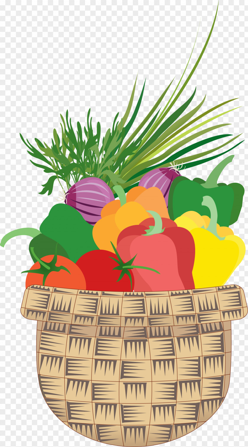 Vegetable Drawing Clip Art PNG