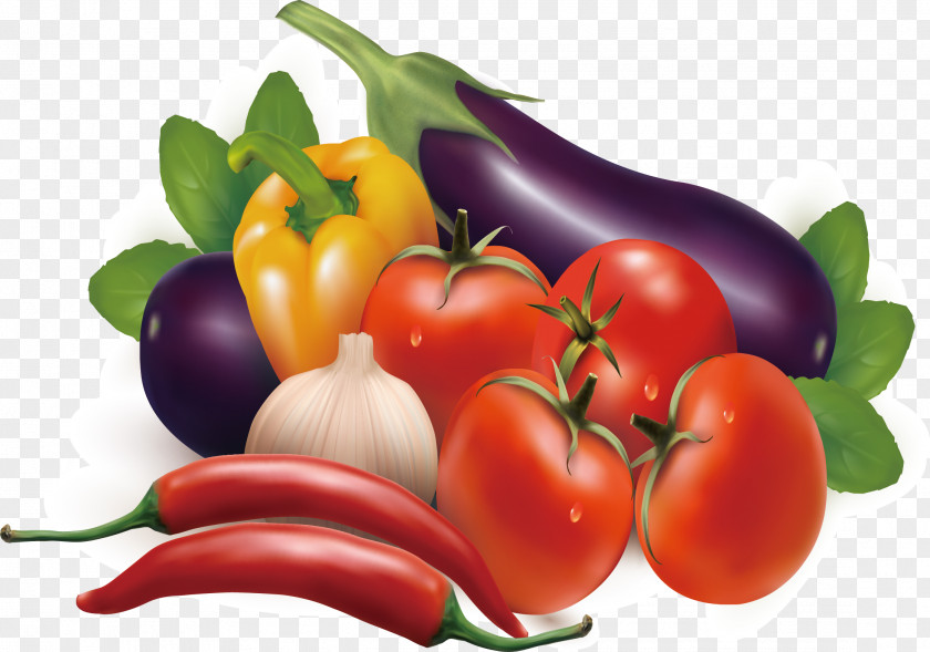 Vegetable Elements Fruit Carrot Illustration PNG