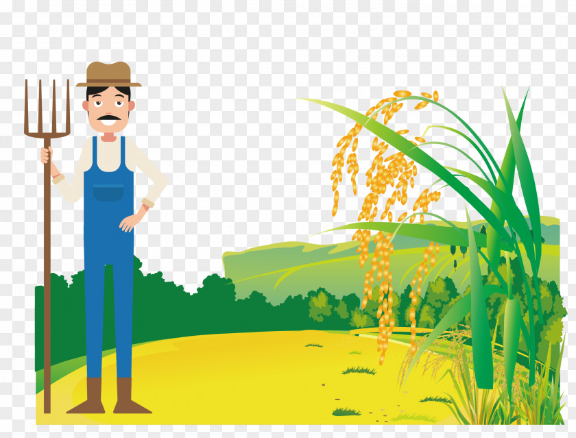 Vector Sowing Rice PNG
