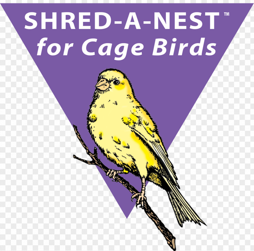 Bird Finches Nest The Sibley Guide To Birds Macaw PNG