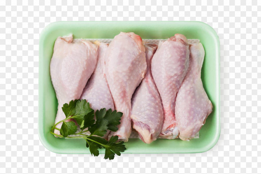 Chicken Meat PNG