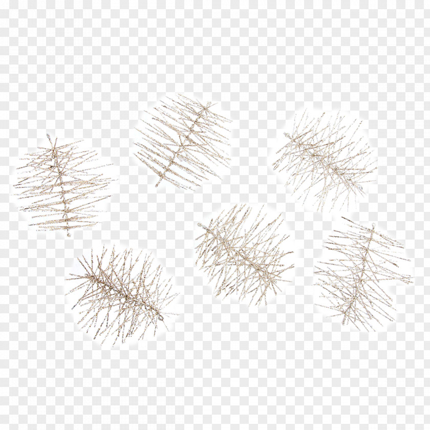 Christmas Pine Needles Picture Material Tree Twig Branching Family PNG