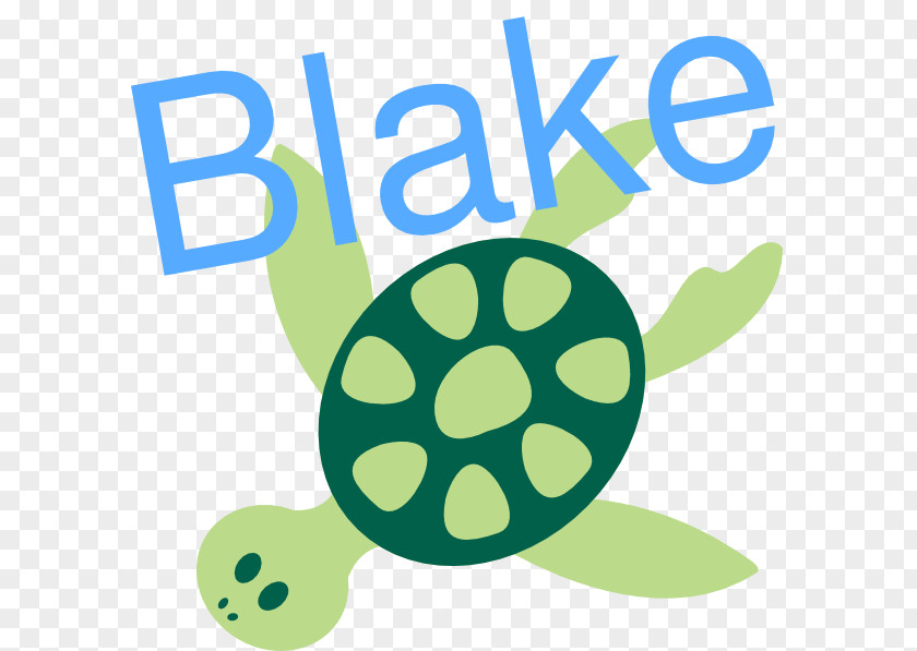 Cute Turtle Download Name Tag Clip Art PNG