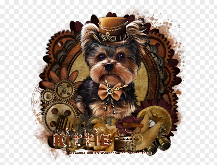 Puppy Yorkshire Terrier Dog Breed Toy PNG
