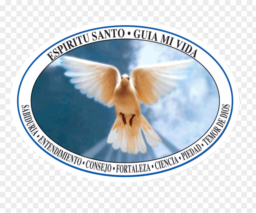 Santo Divinity Editorial Santa María Saint Tribe God PNG