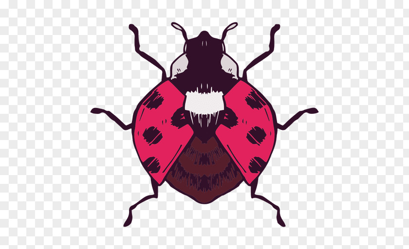 Tshirt Ladybird Beetle T-shirt Vector Graphics Butterfly PNG
