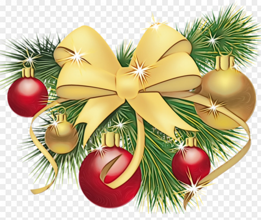 Branch Conifer Christmas Ornament PNG