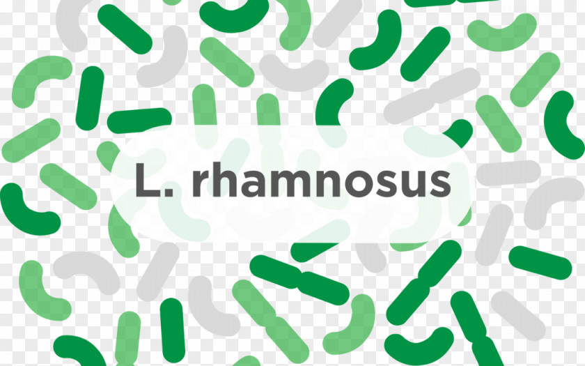 Diarrhea Lactobacillus Reuteri Rhamnosus Acidophilus Gasseri Probiotic PNG