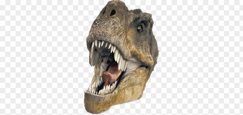 Dinosaur Dinosaurs Alive! Earth Film IMAX PNG