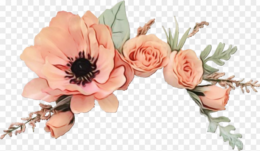 Garden Roses Rose Family PNG