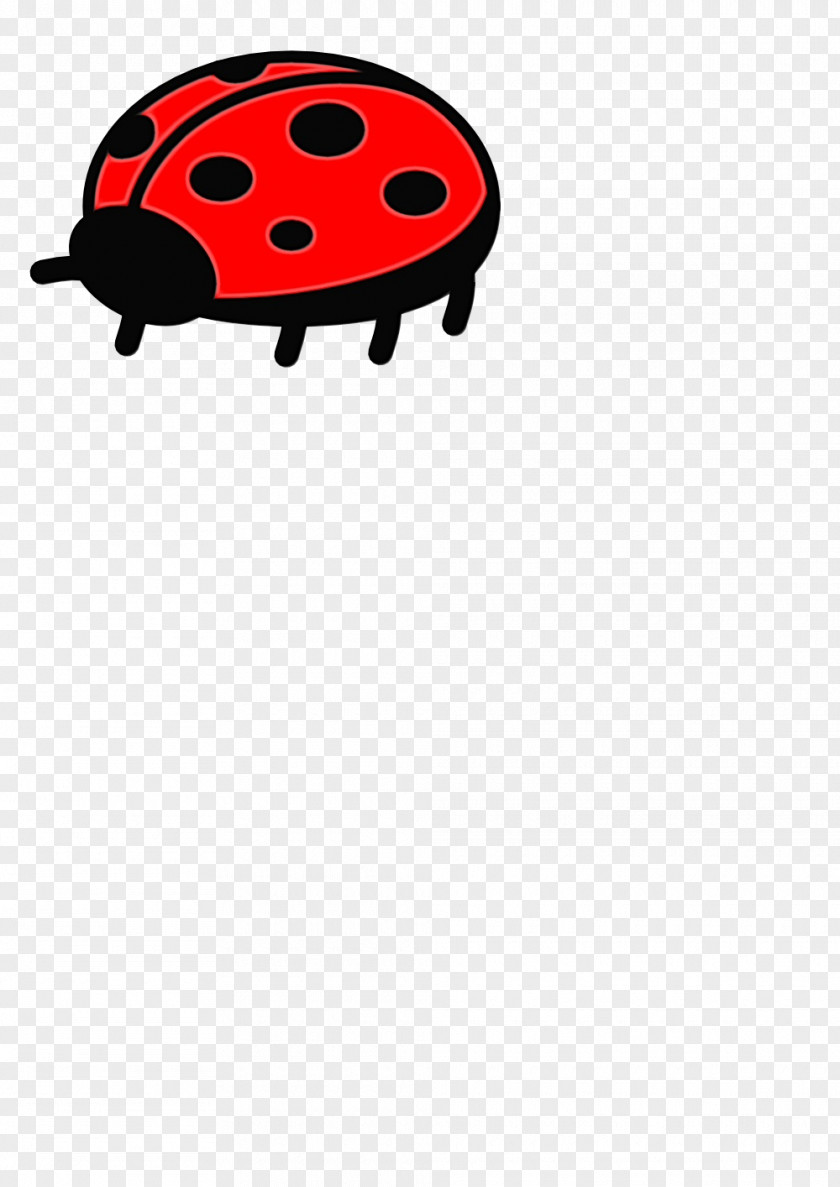 Ladybug Red Ladybird PNG