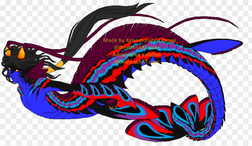 Mantis Shrimp Dragon Fish Clip Art PNG