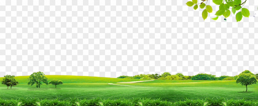 Spring Material Sky Icon PNG
