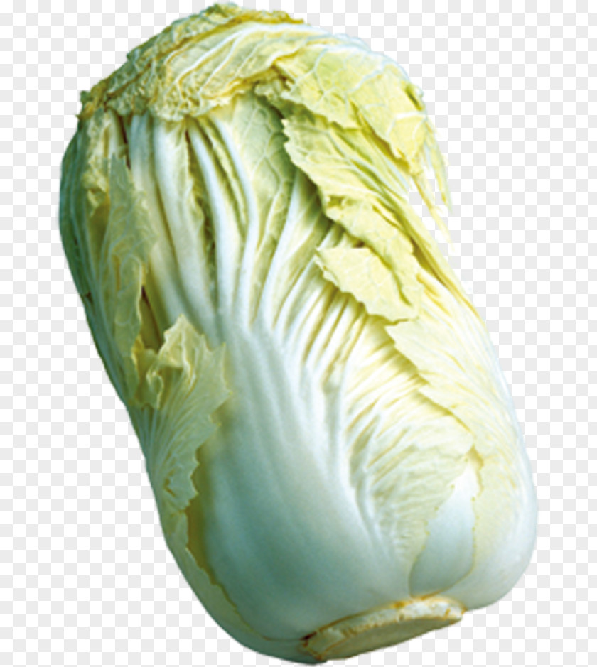Cabbage Napa Vegetable Romaine Lettuce Cauliflower PNG