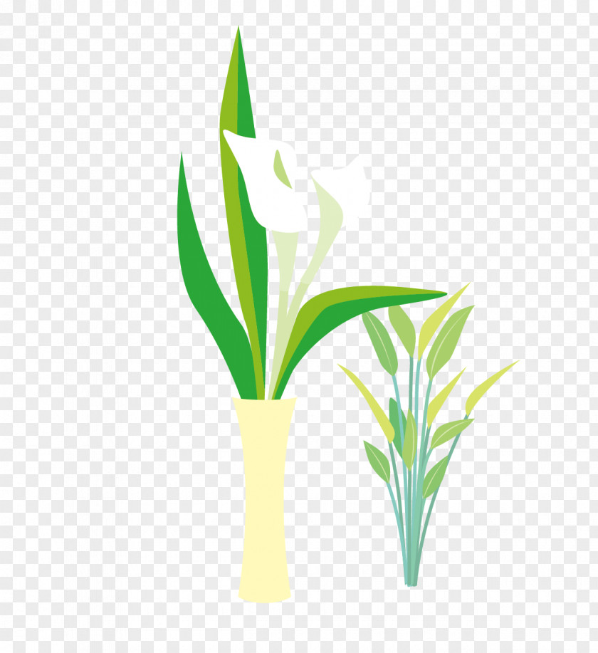 Flat Lilies And Bamboo Design Download PNG