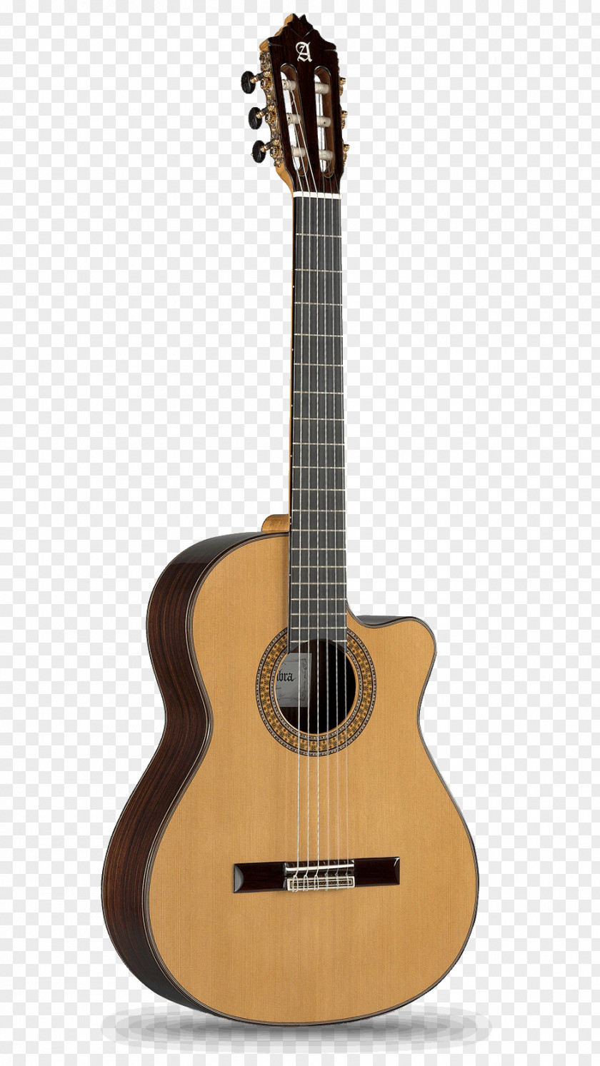 Guitar Classical Steel-string Acoustic Dreadnought Acoustic-electric PNG