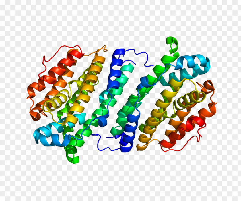 RRM2B Ribonucleotide Reductase Ribonucleoside Gene PNG