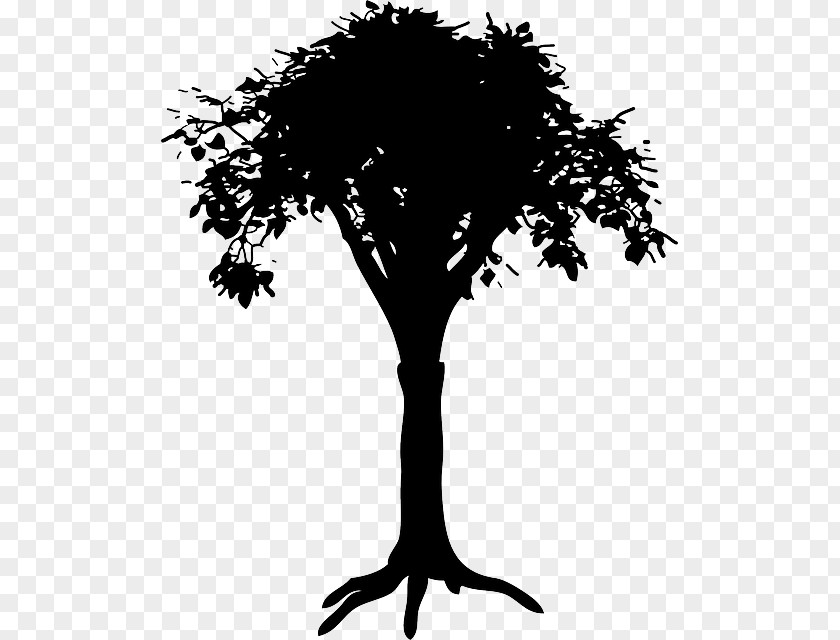 Tree Clip Art PNG