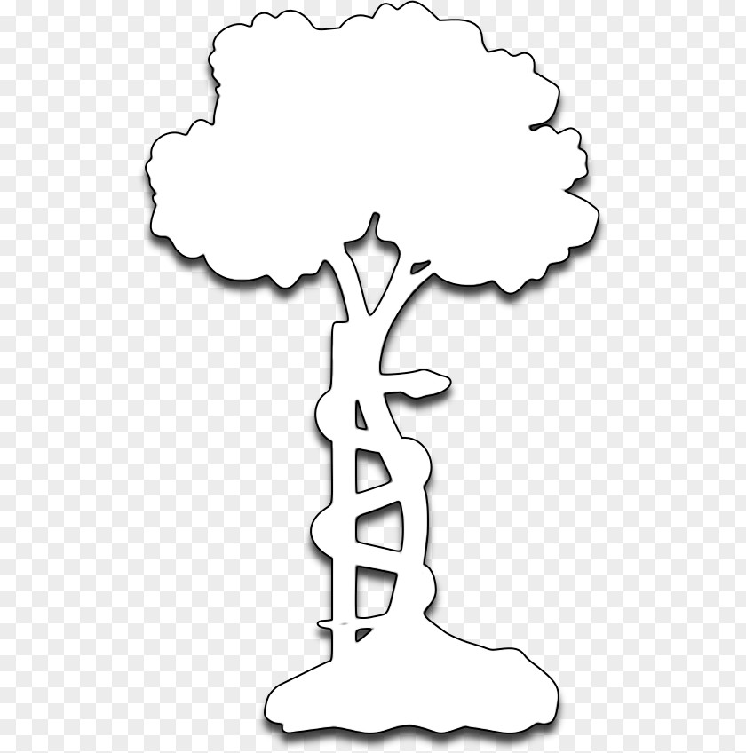 Tree Line Art White Clip PNG