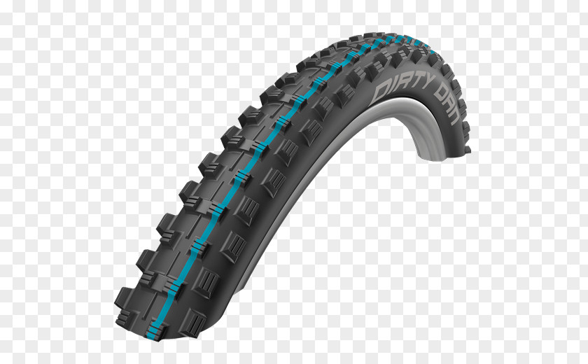 Bicycle Schwalbe Nobby Nic Evolution Line Tubeless Tire PNG
