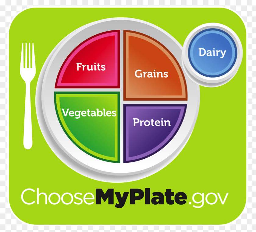 Childhood Obesity MyPlate Food Pyramid Let's Move! Group United States Department Of Agriculture PNG