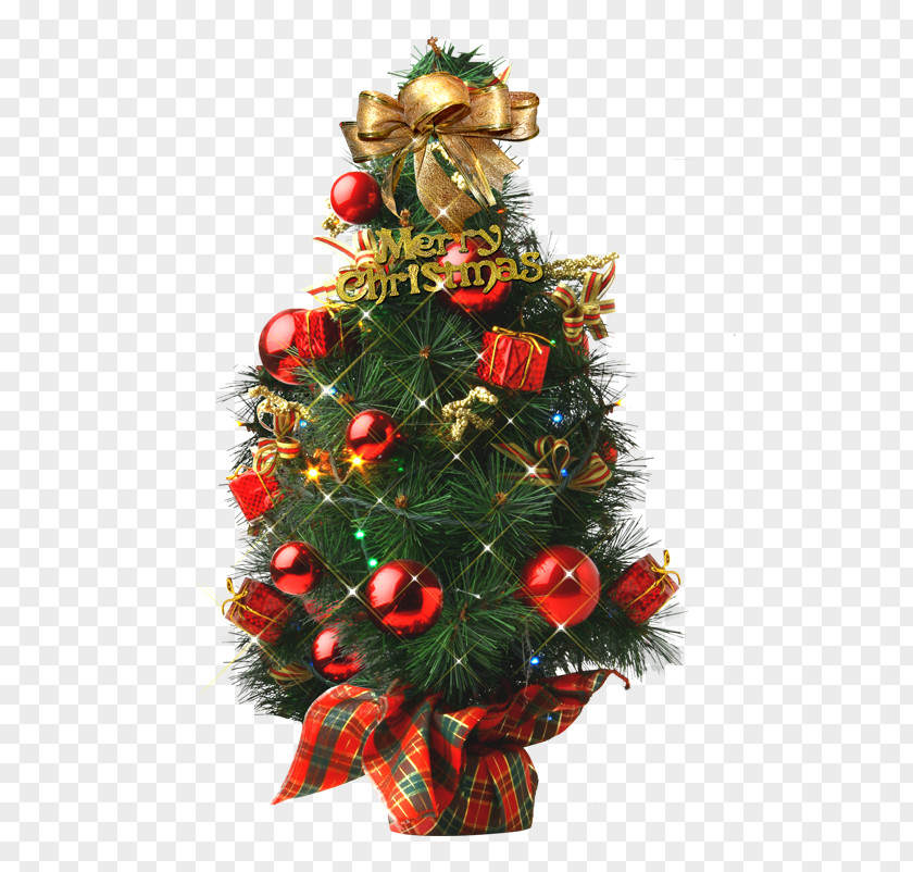 Christmas Tree Mrs. Claus Santa Card PNG