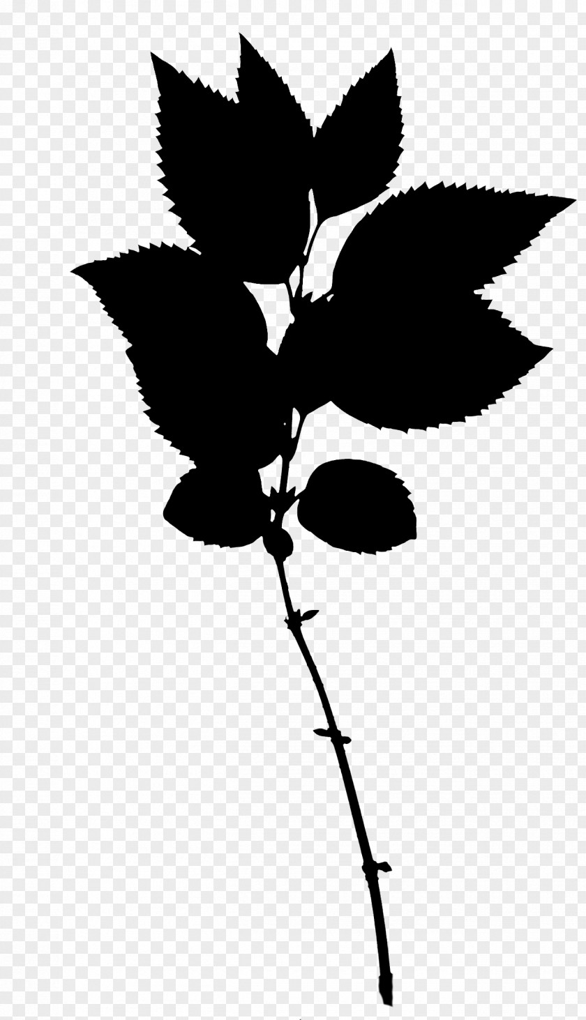 Flowering Plant Stem Leaf Silhouette PNG