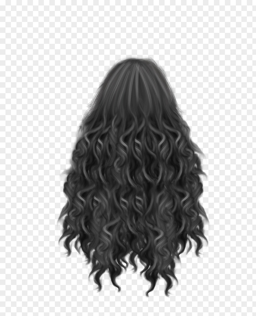Gray Hair Hairstyle Wig Capelli PNG