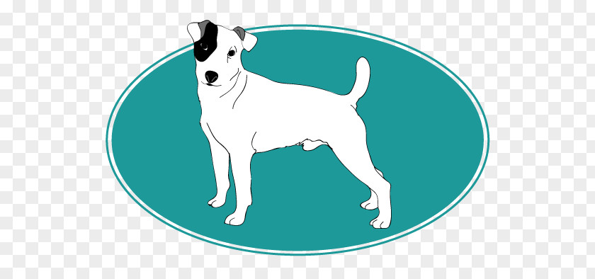 Russell Terrier Dog Breed Puppy Leash PNG