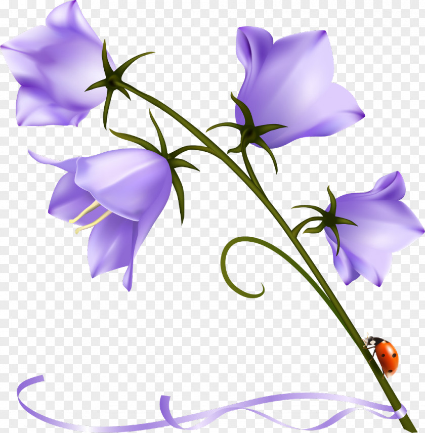 Summer Flowers Clipart Purple Harebell Clip Art Bellflower Family Desktop Wallpaper PNG