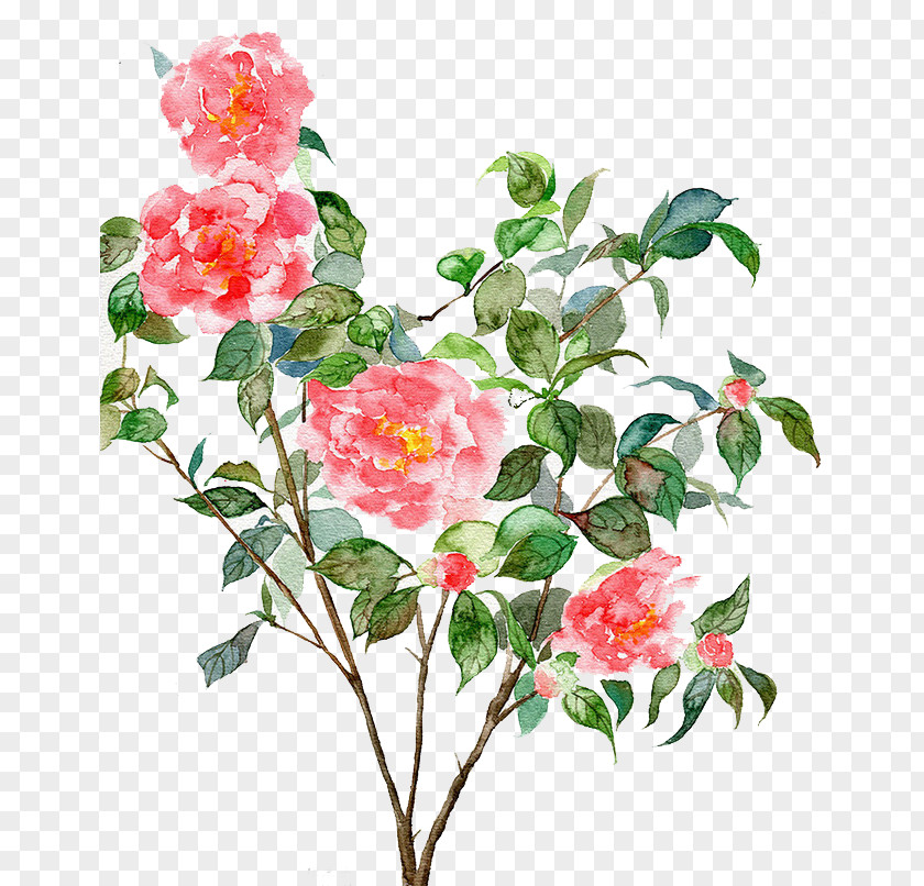 Watercolor Flowers Painting Computer Graphics Illustration PNG