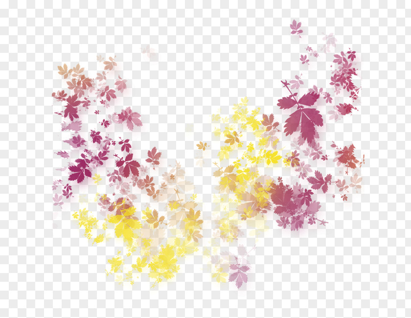 Flower Clip Art PNG