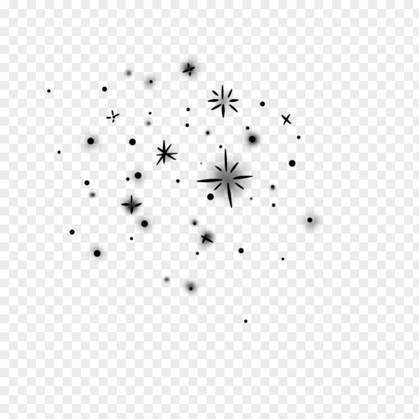 Plant Blackandwhite Fireworks Art PNG