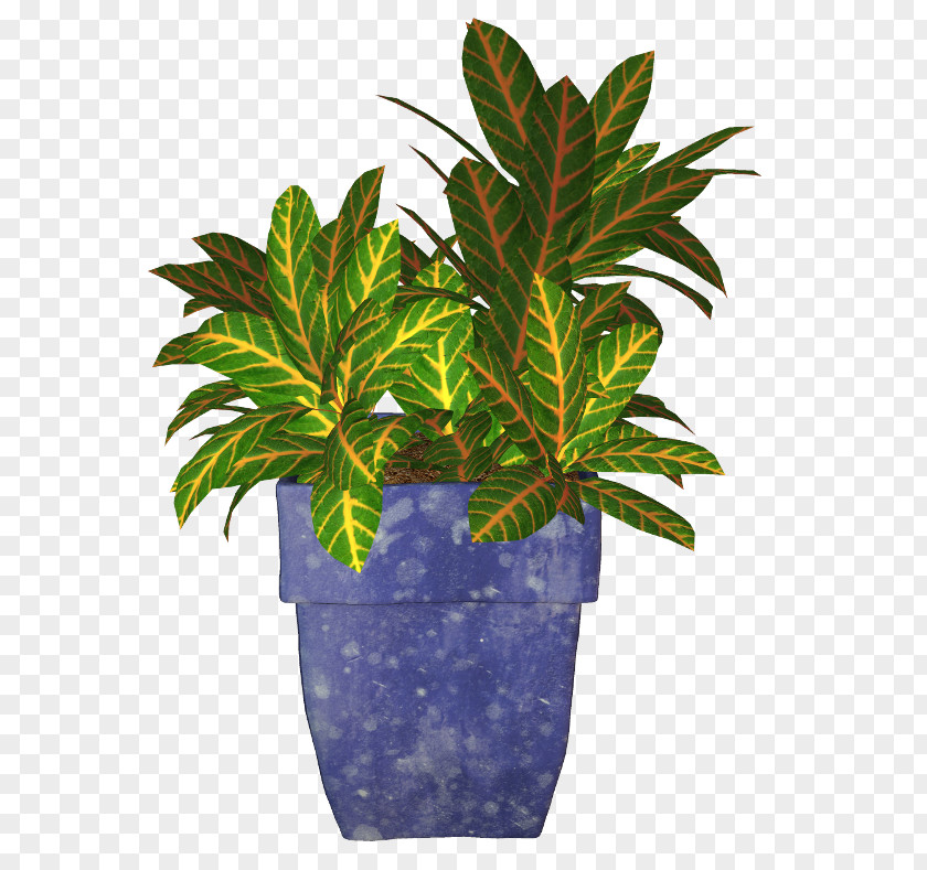 Plants Image Vector Graphics Clip Art Flowerpot PNG