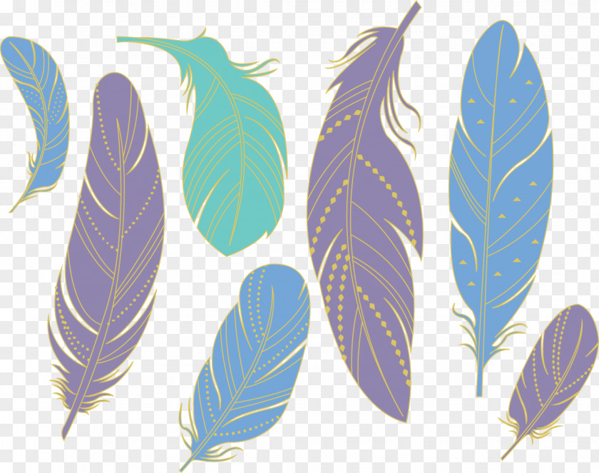 Vector Hand-painted Feathers Feather Download PNG