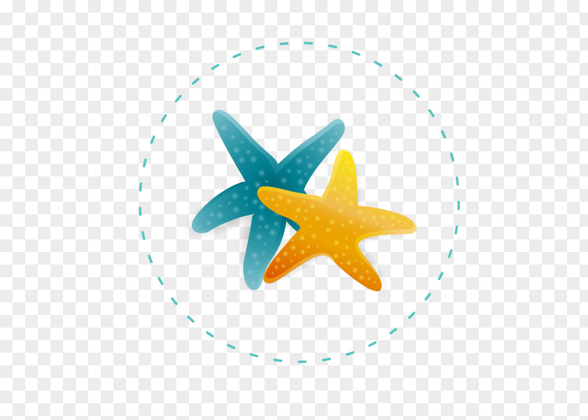 Vector Starfish Euclidean PNG