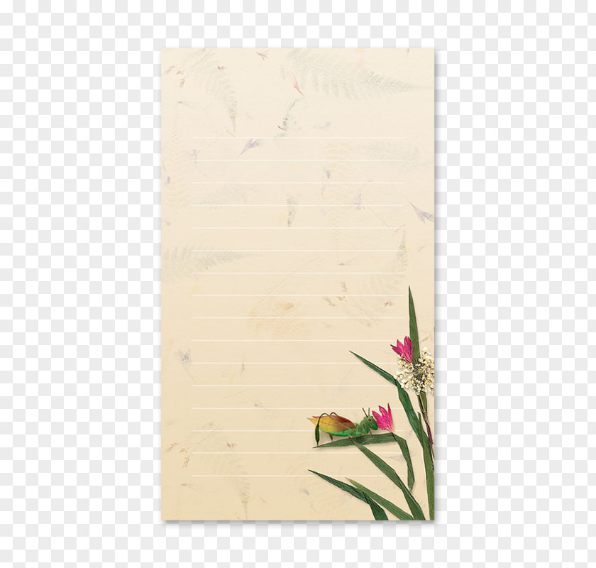 Creative Gardening Picture Frames Rectangle Image PNG