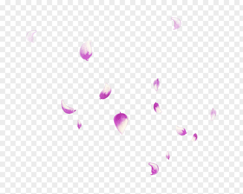 Falling Petals Petal PNG