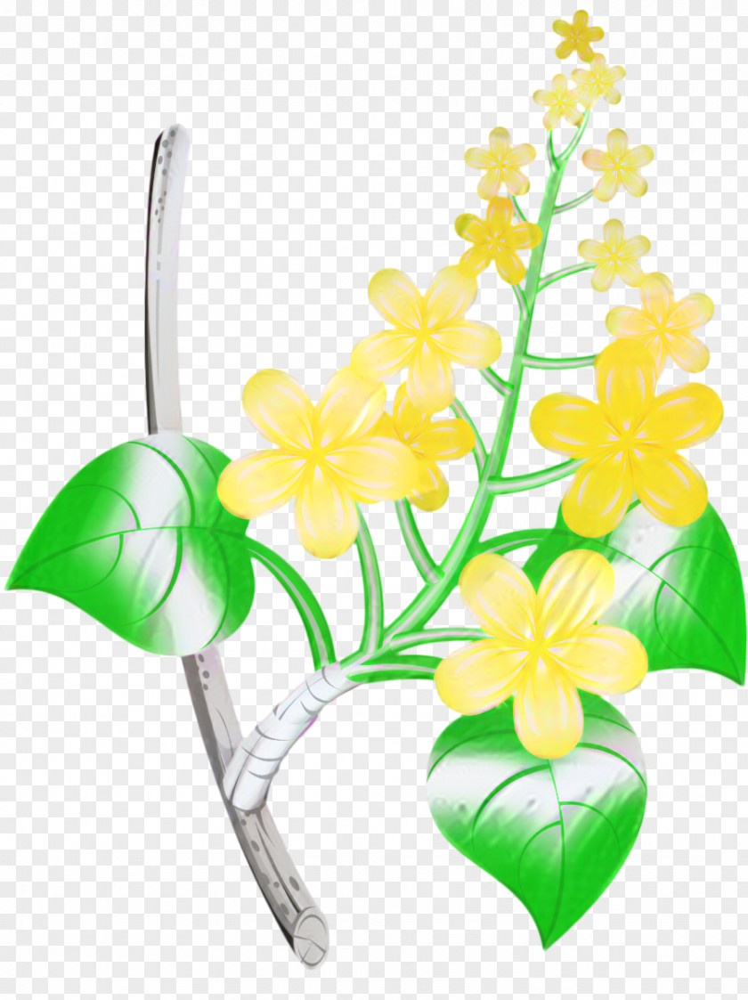 Floral Design Cut Flowers Moth Orchids PNG