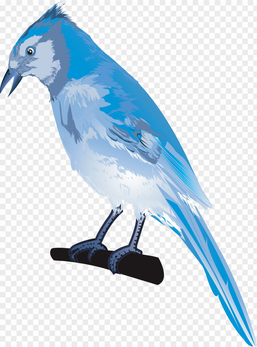 Hand-painted Blue Sparrow Parrot Lovebird Drawing Illustration PNG