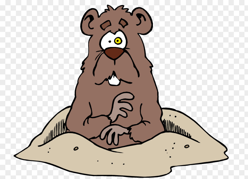 Pictures Of Groundhogs The Groundhog Squirrel Clip Art PNG