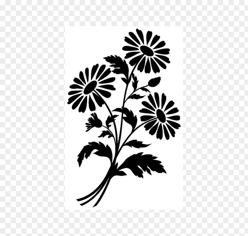 Chamomile Silhouette Drawing Flower PNG