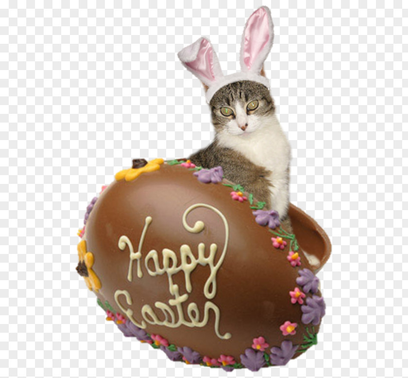 Chocolate Easter Bunny Egg PNG