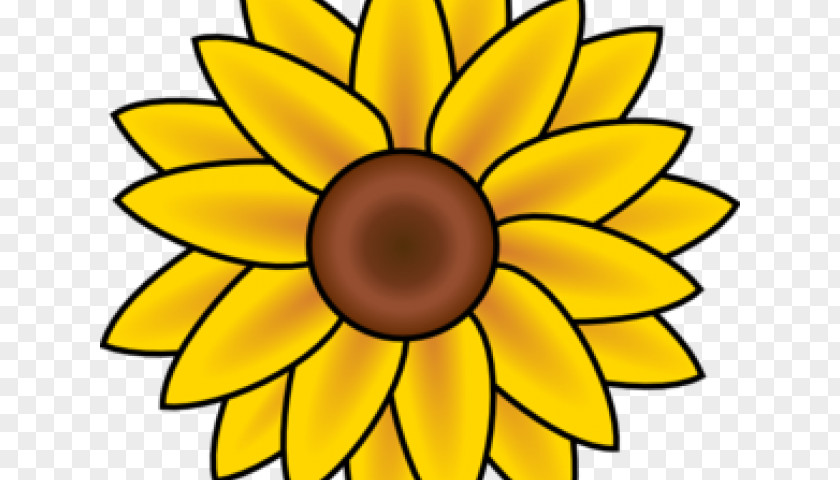 Cq Border Clip Art Vector Graphics Common Sunflower Illustration Image PNG