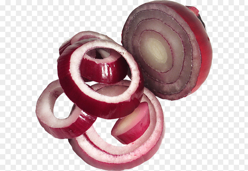 Onion Red Author Clip Art PNG