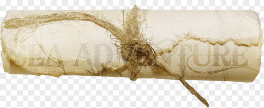 Rope Reel Quill Presentation Jute Atpasakojimas PNG