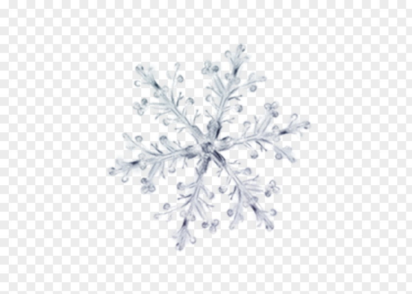 Winter Snow Flower Pattern Decorative Elements Petal Ice PNG